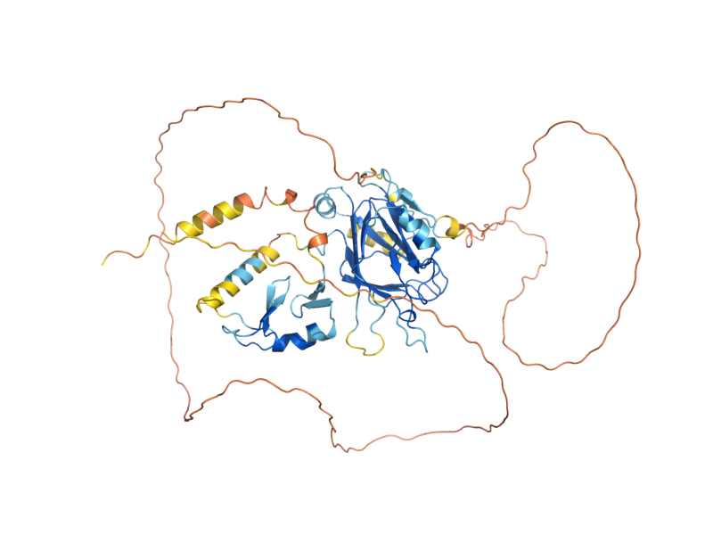 AlphaFold predicted structure of DMA2