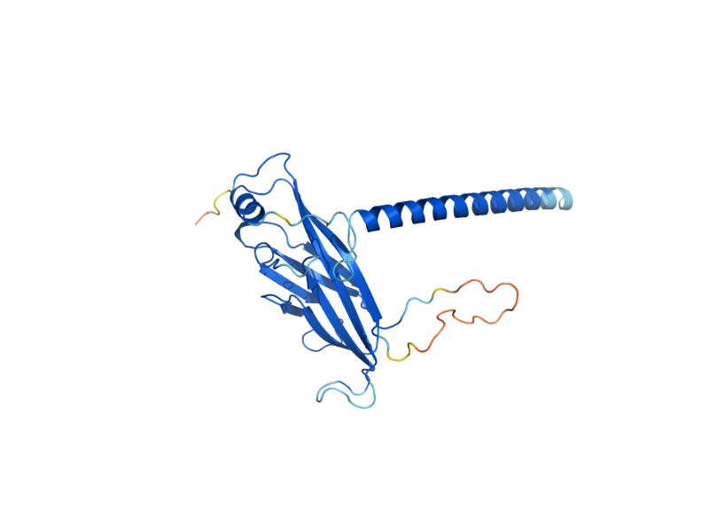 AlphaFold predicted structure of YAF9