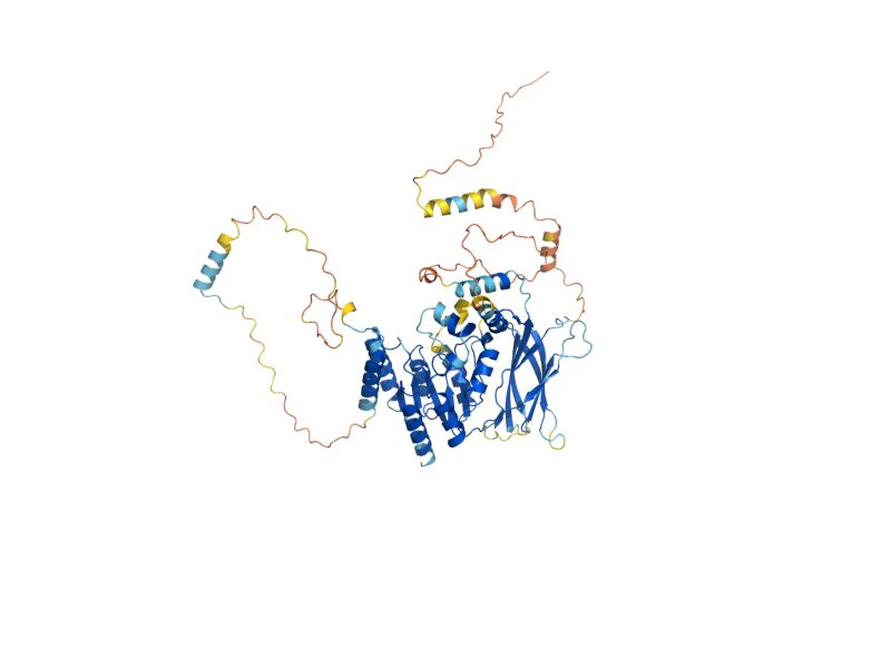 AlphaFold predicted structure of APP1
