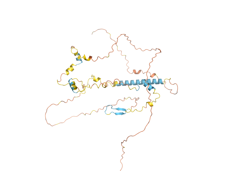 AlphaFold predicted structure of NIS1