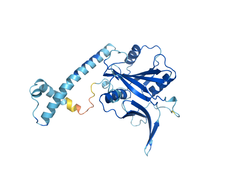 AlphaFold predicted structure of IMP4