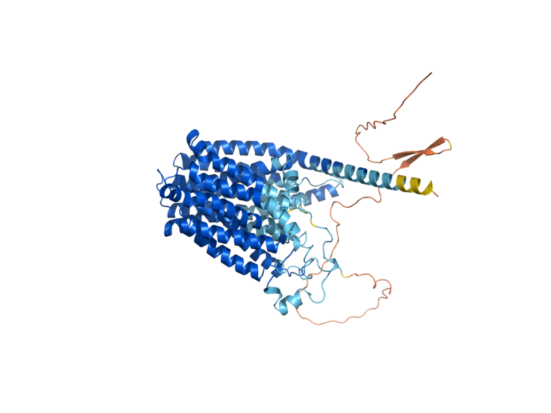 AlphaFold predicted structure of AQR1