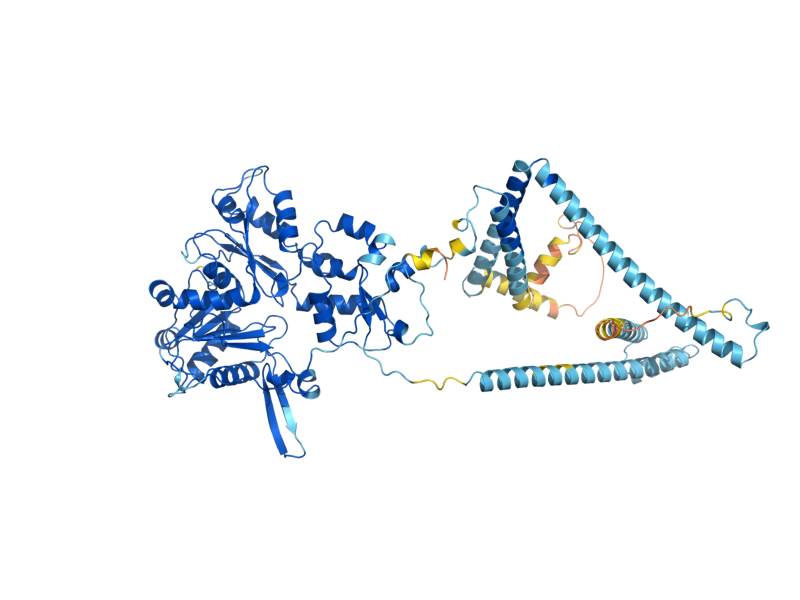 AlphaFold predicted structure of ARP5