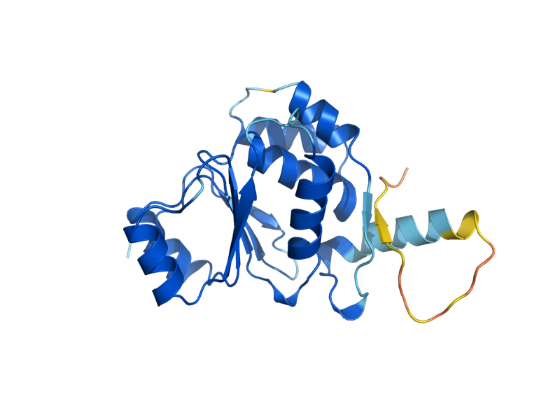 AlphaFold predicted structure of OCA2