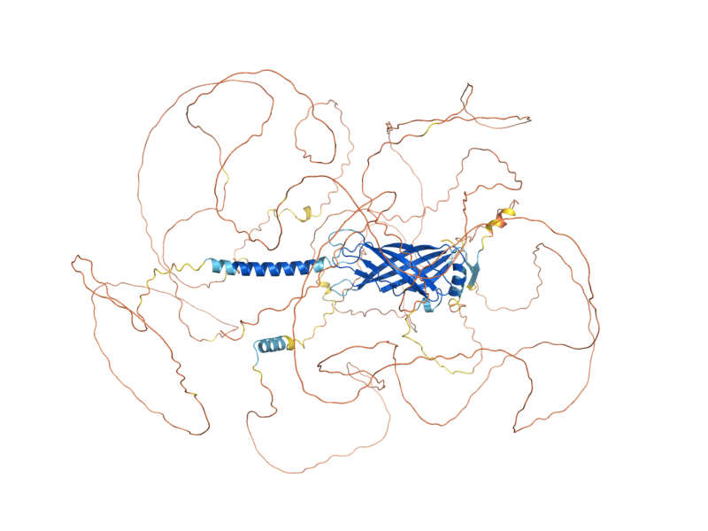 AlphaFold predicted structure of VAC7