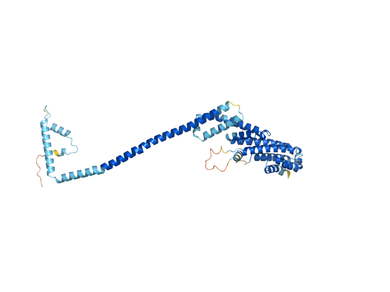 AlphaFold predicted structure of COG5