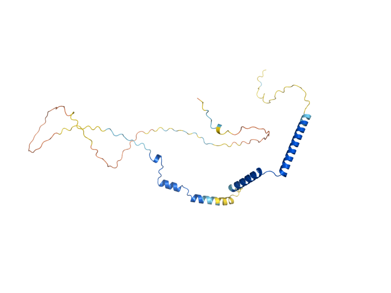 AlphaFold predicted structure of SNI445