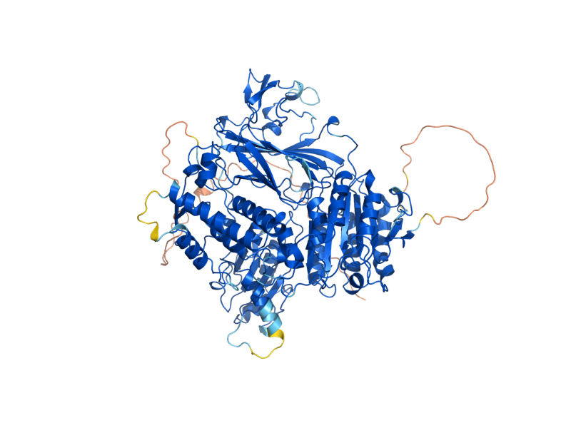 AlphaFold predicted structure of SFB2