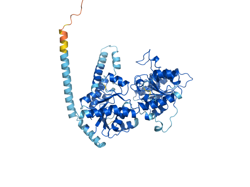 AlphaFold predicted structure of ALG11