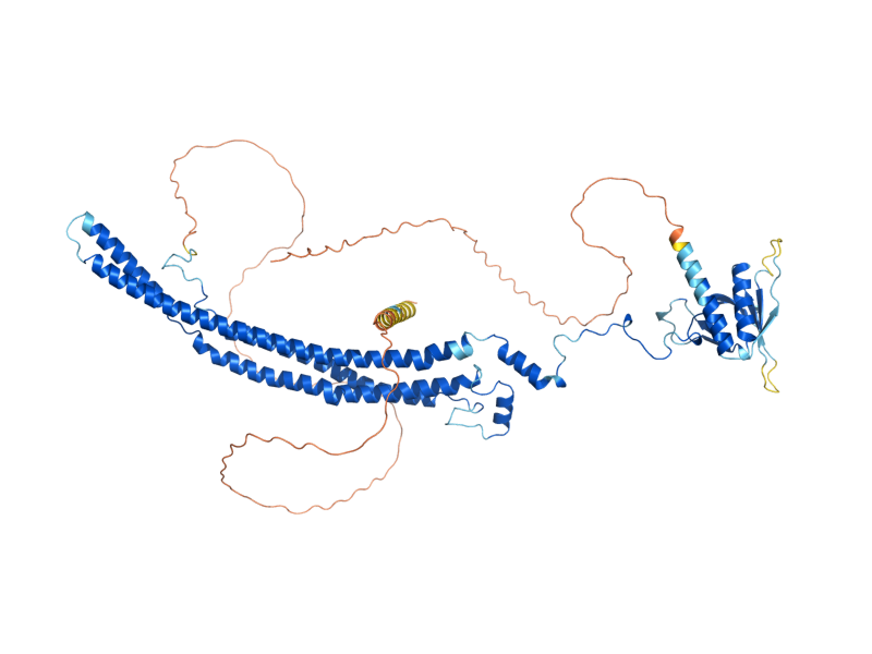 AlphaFold predicted structure of SLM2