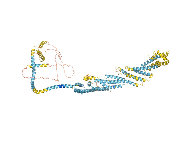 AlphaFold predicted structure of COG6