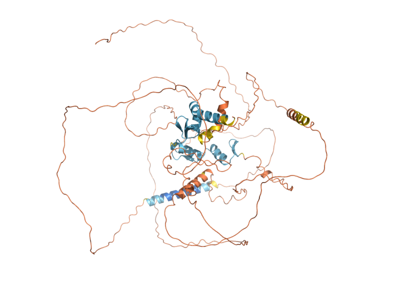 AlphaFold predicted structure of CRZ1