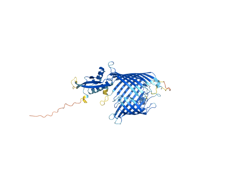 AlphaFold predicted structure of SAM50
