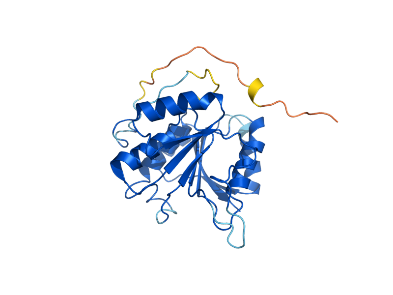 AlphaFold predicted structure of EFM6