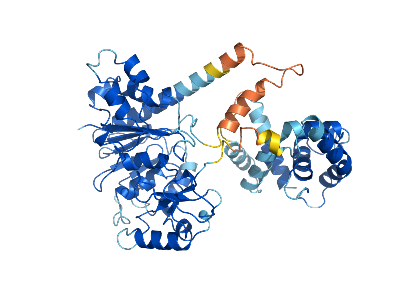 AlphaFold predicted structure of RCM1