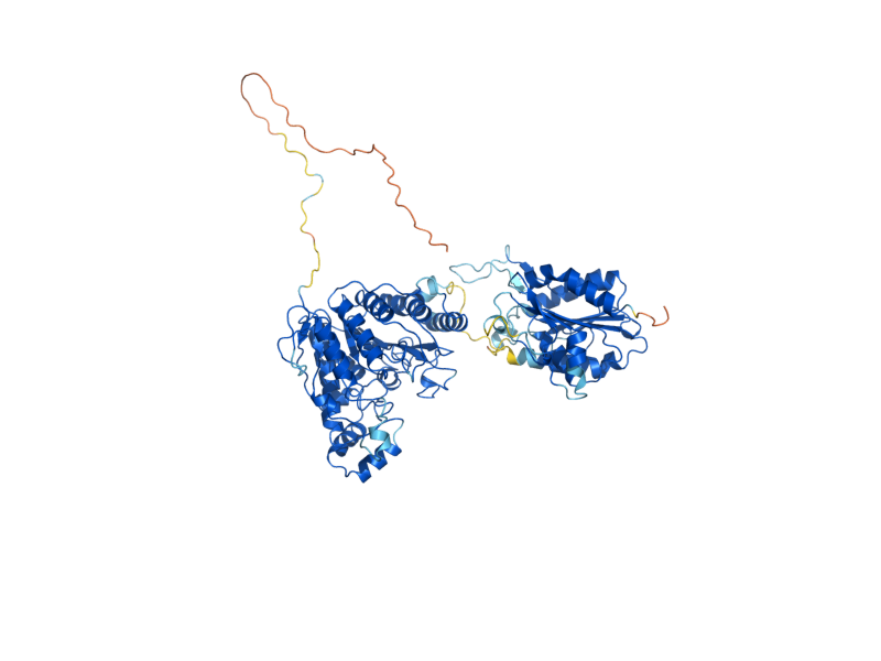AlphaFold predicted structure of HDA1