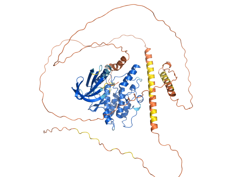 AlphaFold predicted structure of ARK1