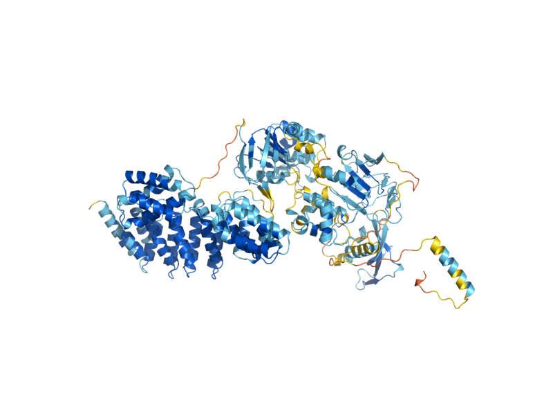 AlphaFold predicted structure of HEF3