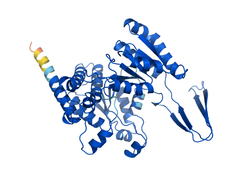 AlphaFold predicted structure of IDP3
