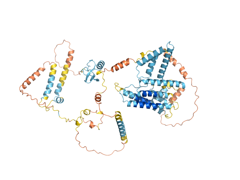 AlphaFold predicted structure of ASI3