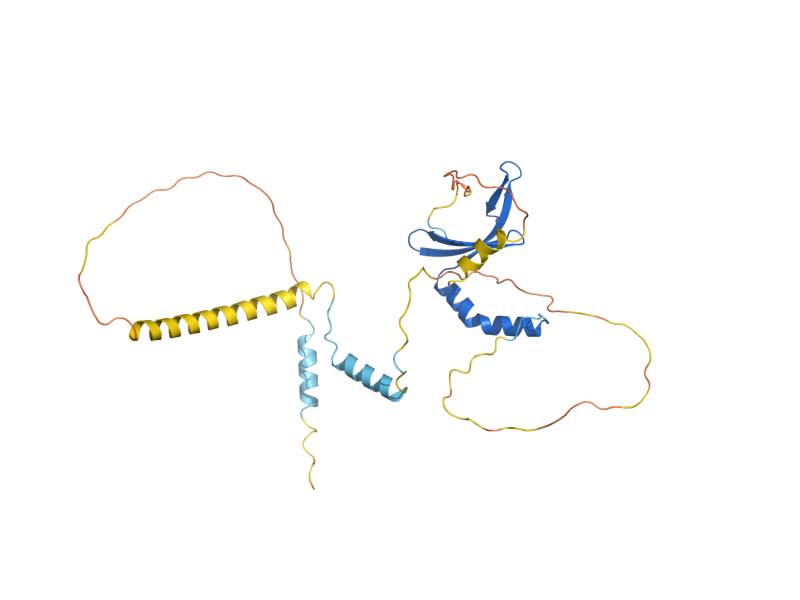 AlphaFold predicted structure of SUB1