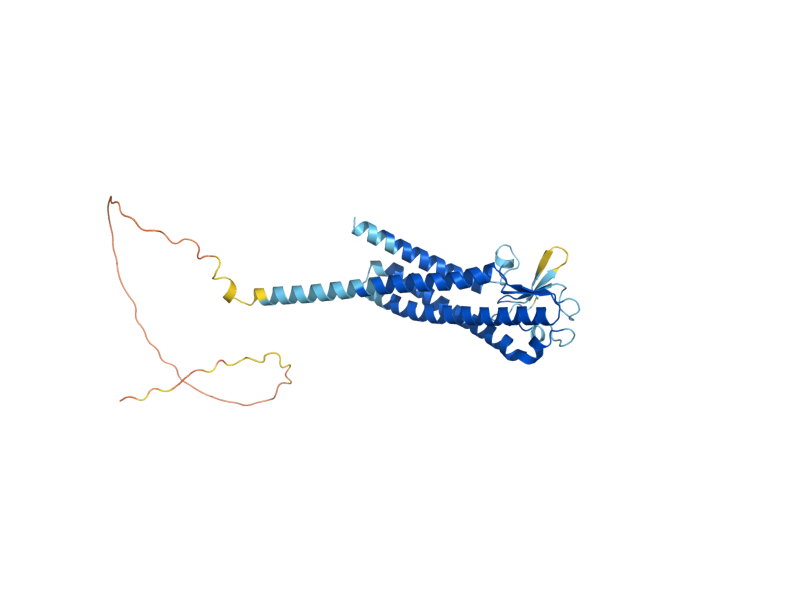 AlphaFold predicted structure of SUR7