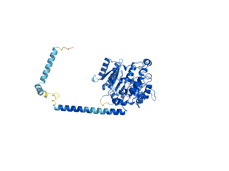 AlphaFold predicted structure of KTR6