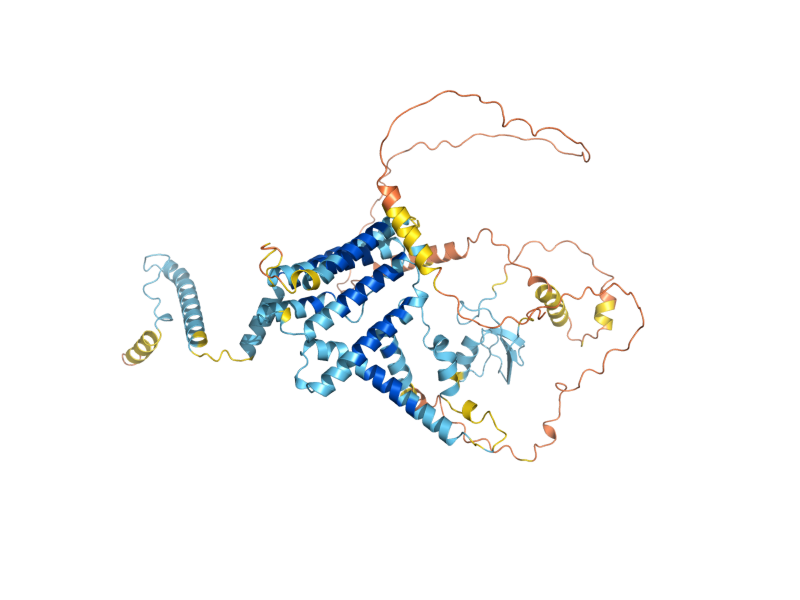 AlphaFold predicted structure of ASI1