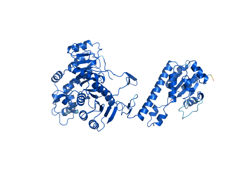 AlphaFold predicted structure of ADE16