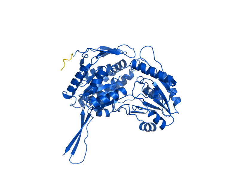 AlphaFold predicted structure of ALD6