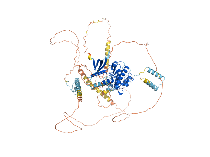 AlphaFold predicted structure of MPS1