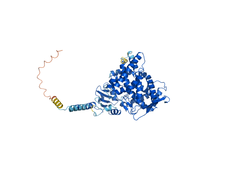 AlphaFold predicted structure of ERG5