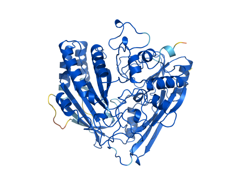 AlphaFold predicted structure of ALO1