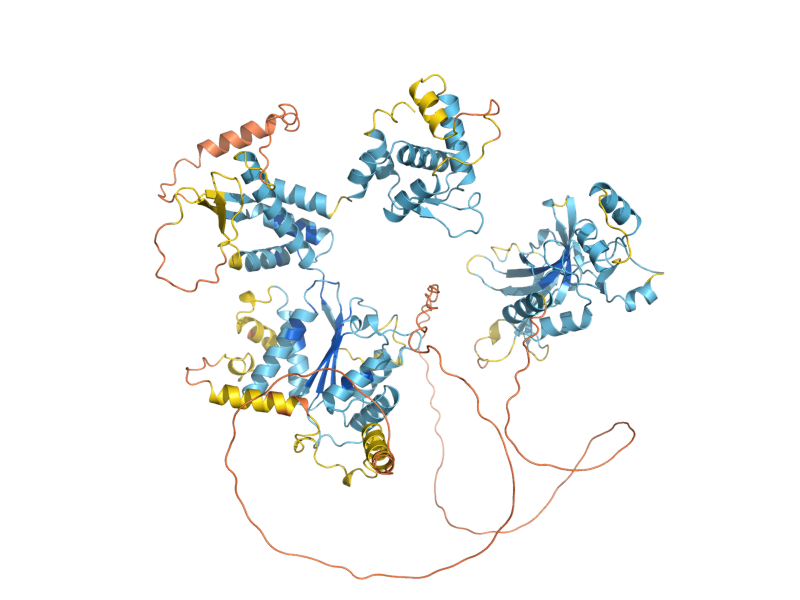 AlphaFold predicted structure of ORC1