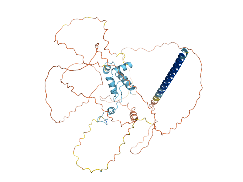 AlphaFold predicted structure of MOT3