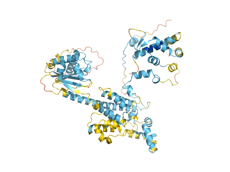 AlphaFold predicted structure of ORC3