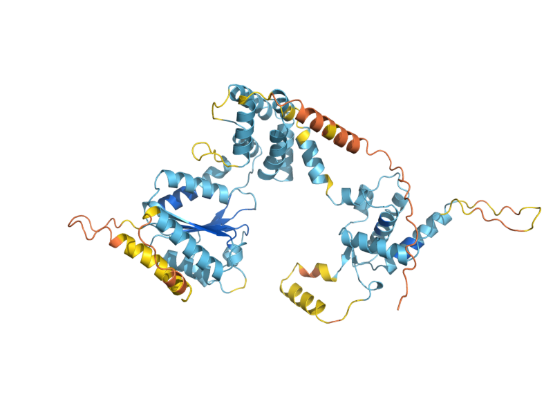 AlphaFold predicted structure of ORC4