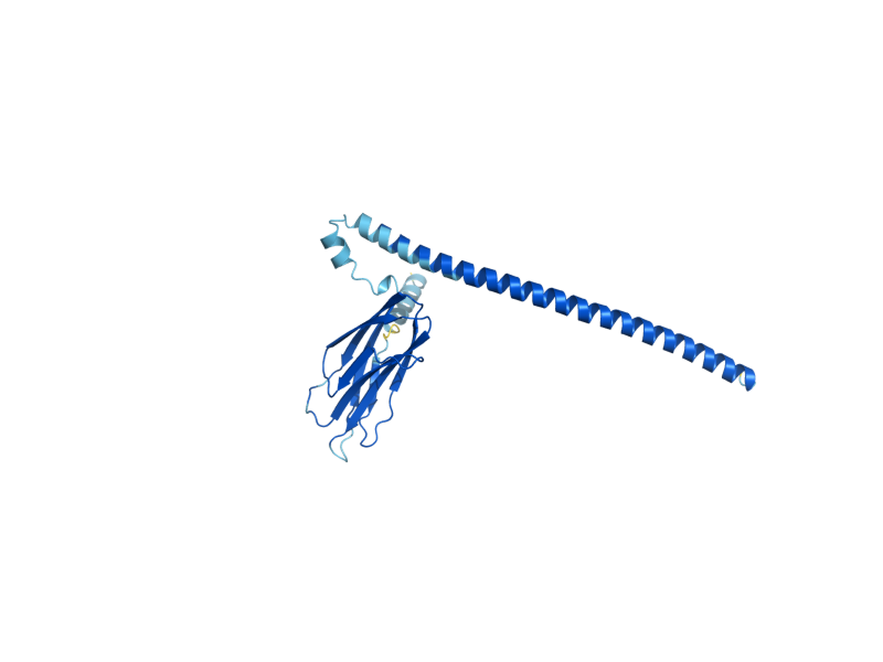 AlphaFold predicted structure of ERV25