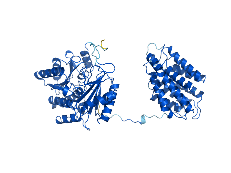 AlphaFold predicted structure of DAK1