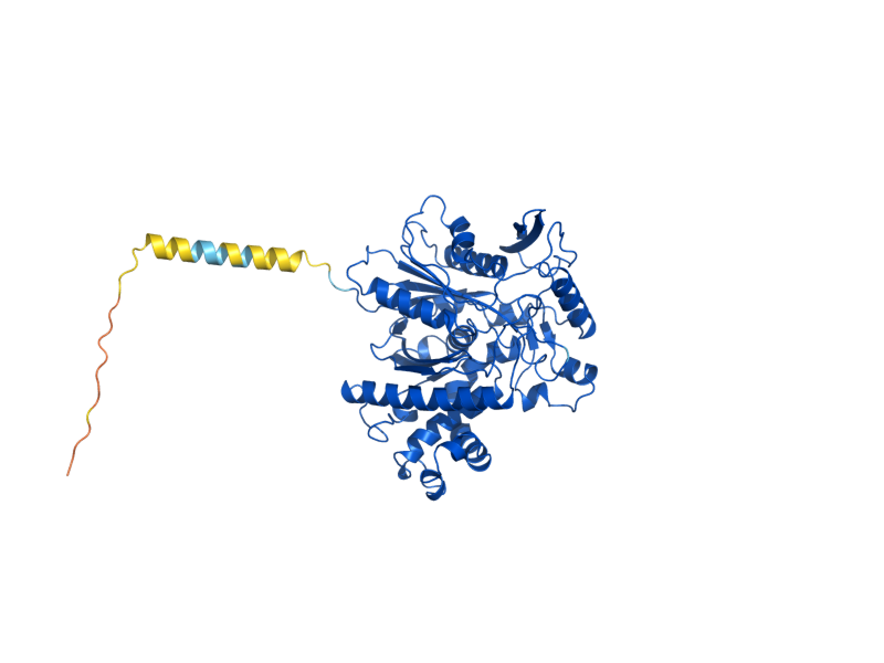 AlphaFold predicted structure of ERG13