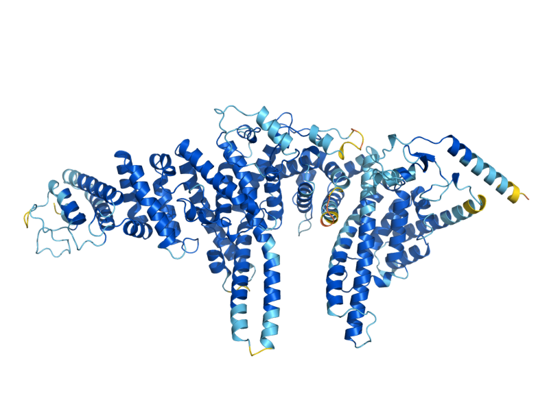 AlphaFold predicted structure of UFD2