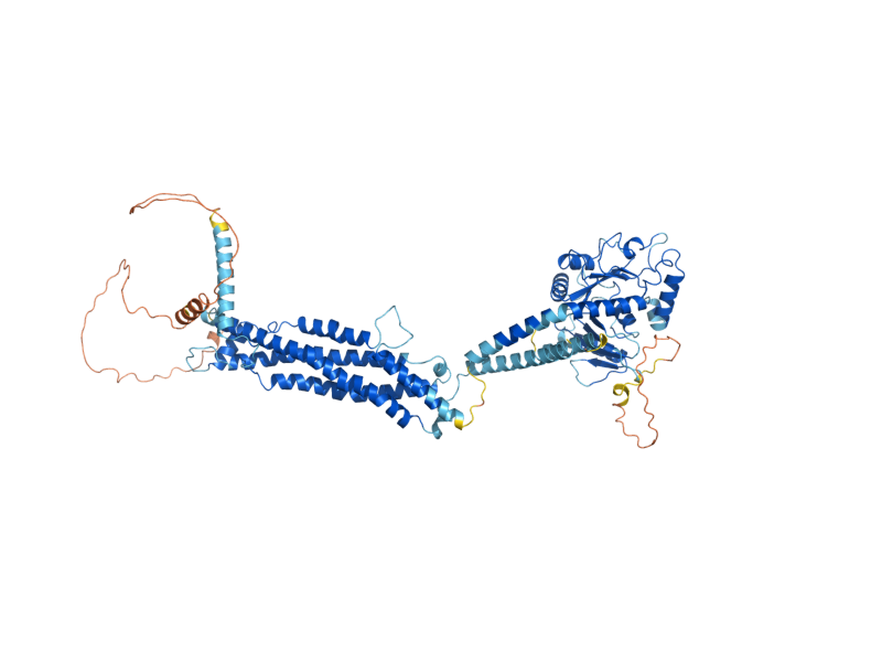 AlphaFold predicted structure of DNM1