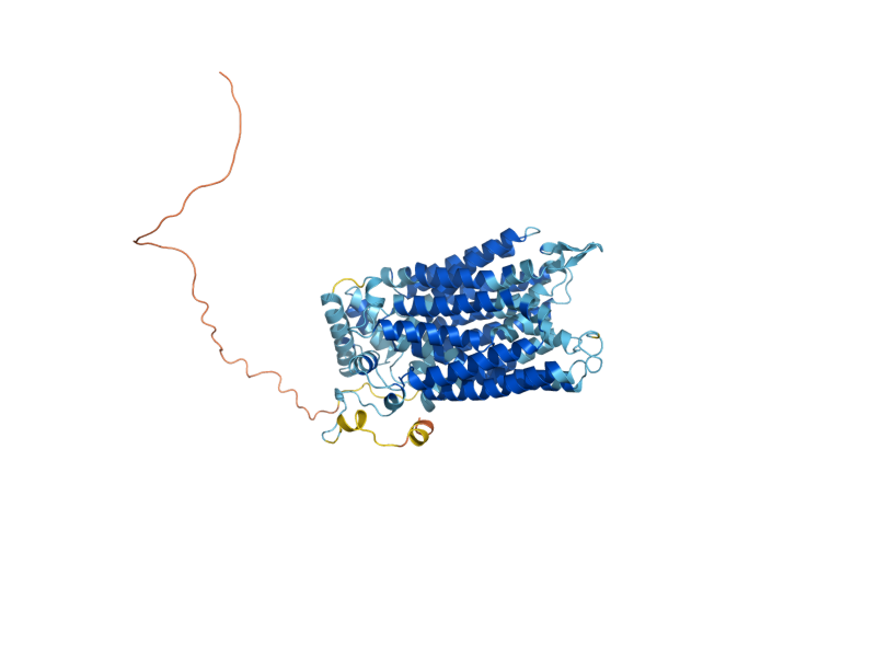 AlphaFold predicted structure of HXT11
