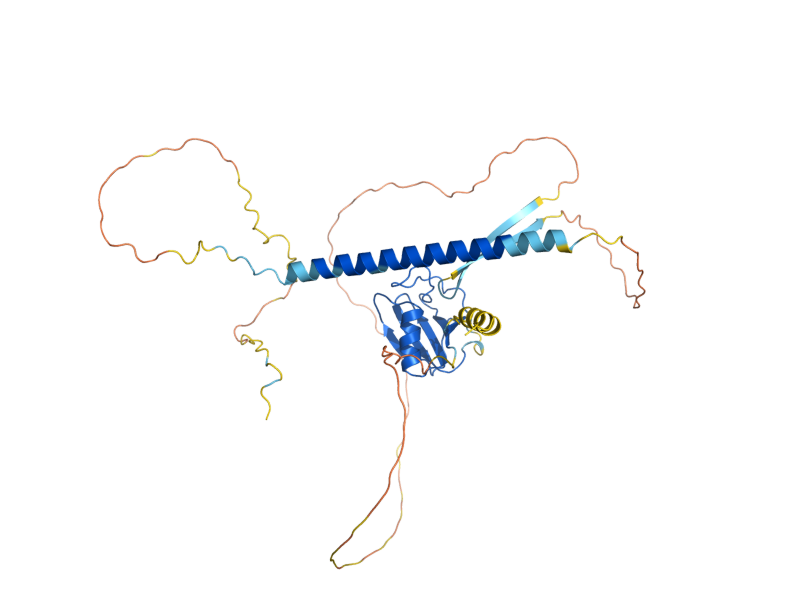 AlphaFold predicted structure of SLG1