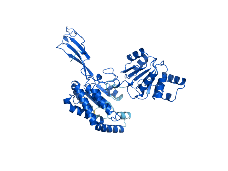 AlphaFold predicted structure of PRO2