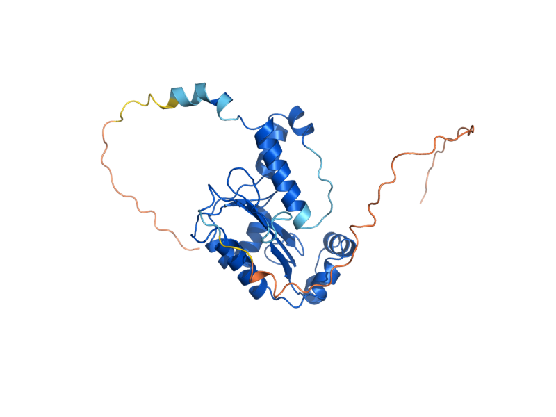 AlphaFold predicted structure of REX2