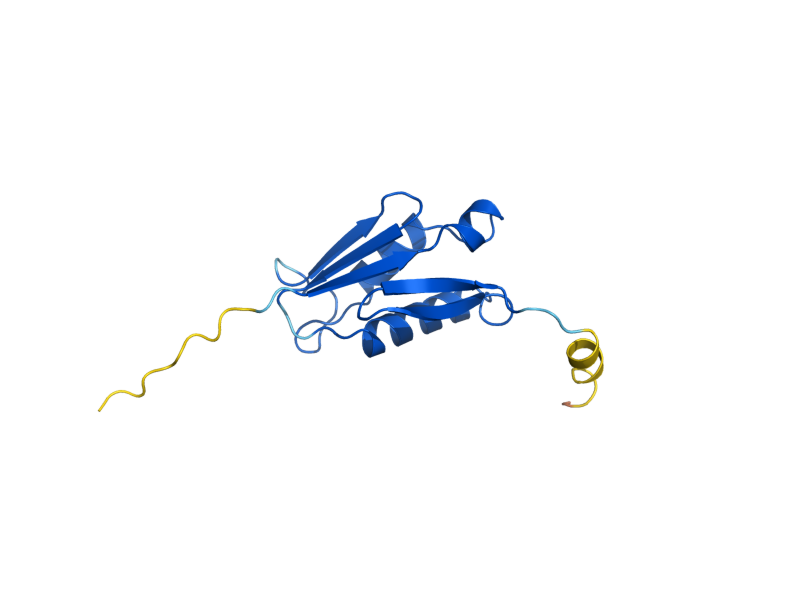 AlphaFold predicted structure of RPL22B