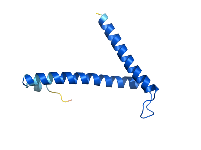 AlphaFold predicted structure of TIM8