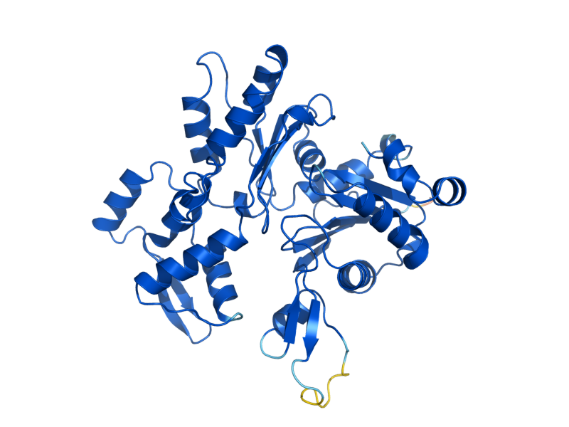 AlphaFold predicted structure of ACT1