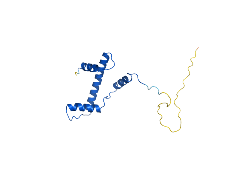 AlphaFold predicted structure of HHT1